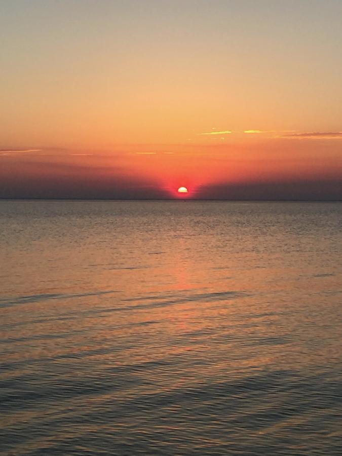 Teak Pacific Hotel Nosara Dış mekan fotoğraf